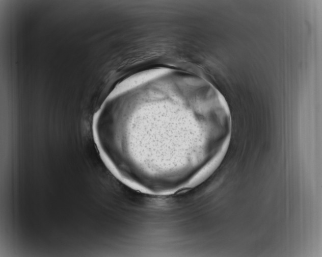 X0000088920432200707061406