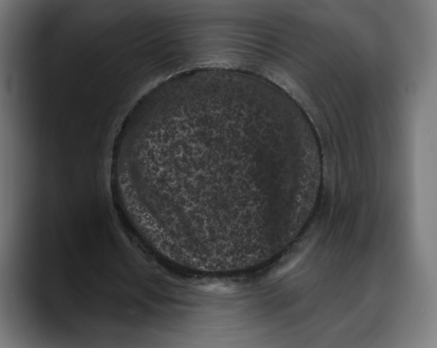 X0000088920434200707061406