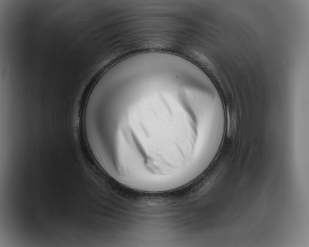 X0000088920435200707061406