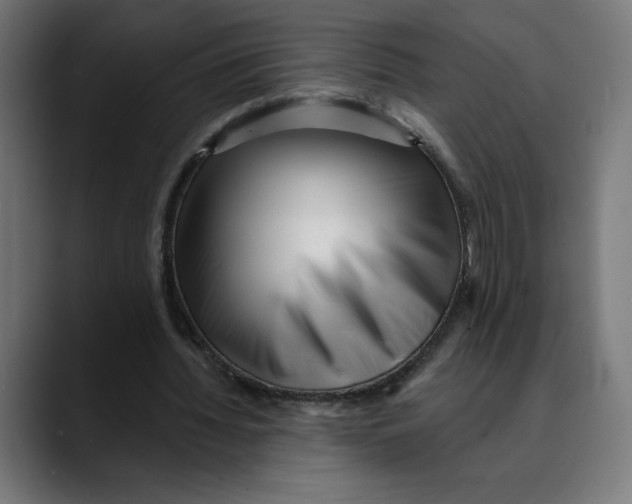 X0000088920436200707061406
