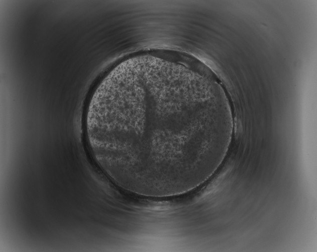 X0000088920438200707061406