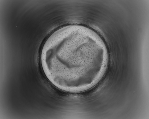 X0000088920439200707061406