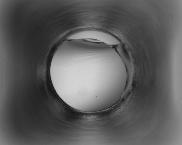 X0000088920440200707061406