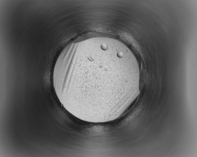 X0000088920441200707061406