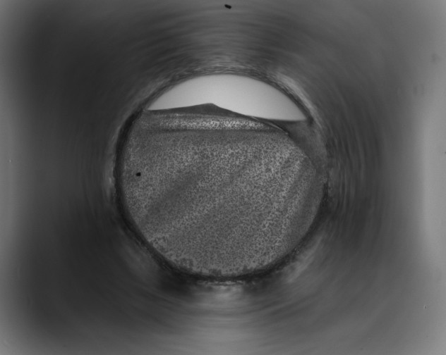 X0000088920443200707061406