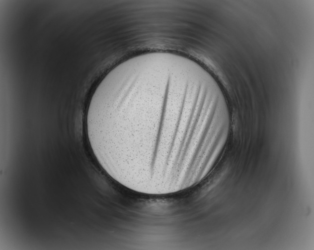 X0000088920445200707061406