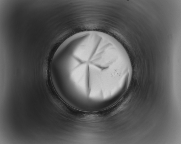 X0000088920446200707061406