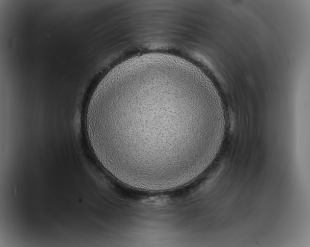 X0000088920447200707061406