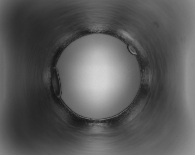 X0000088920448200707061406
