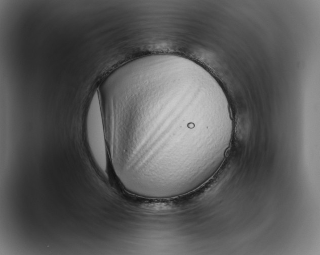 X0000088920449200707061406