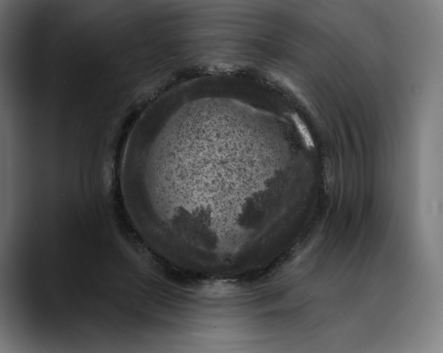 X0000088920451200707061406