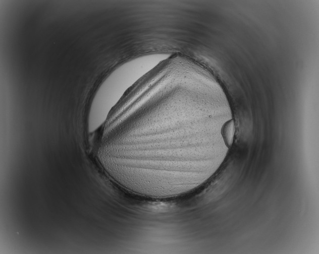 X0000088920453200707061406