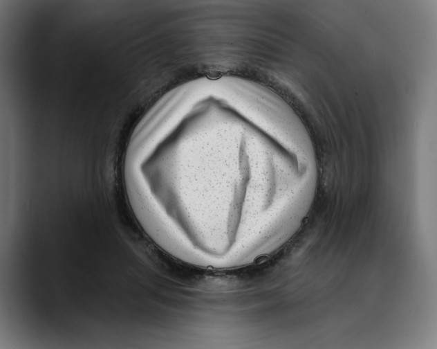 X0000088920455200707061406