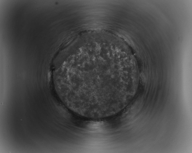 X0000088920458200707061406