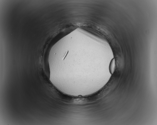 X0000088920461200707061406