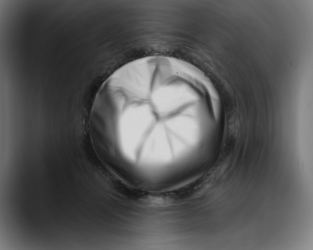 X0000088920464200707061406