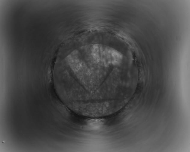 X0000088920465200707061406