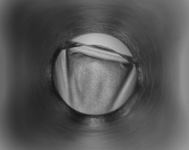 X0000088920466200707061406