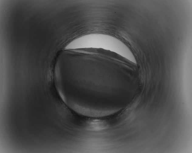 X0000088920467200707061406