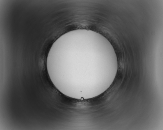 X0000088920468200707061406