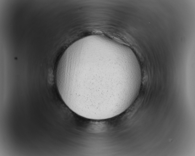 X0000088920469200707061406