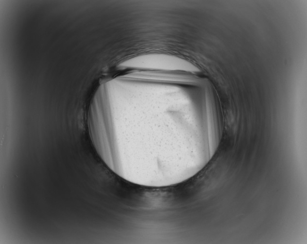X0000088920470200707061406