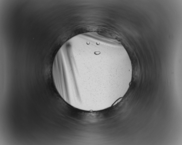 X0000088920473200707061406