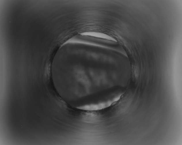 X0000088920475200707061406