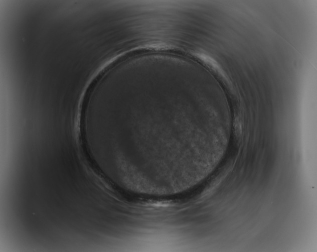 X0000088920484200707061406