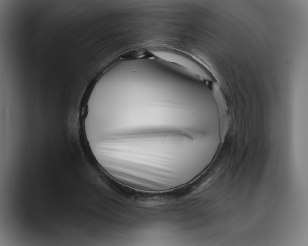 X0000088920485200707061406