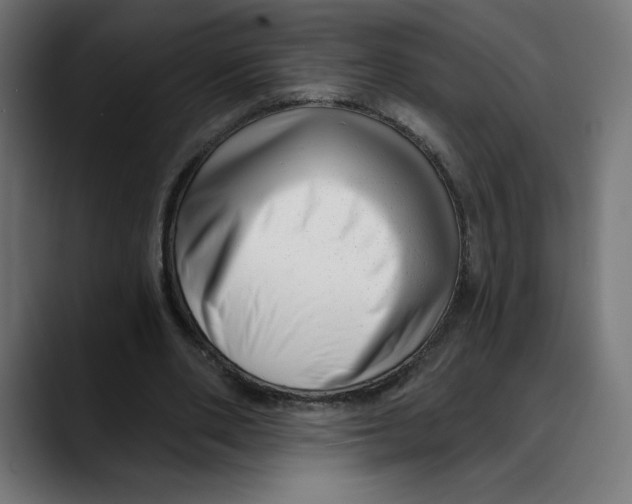 X0000088920486200707061406
