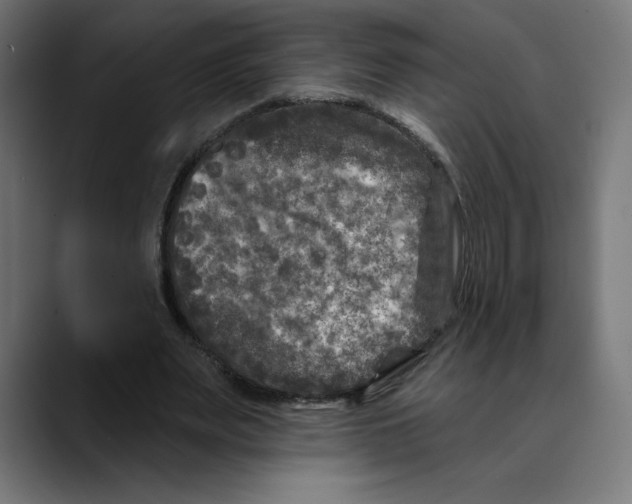 X0000088920487200707061406