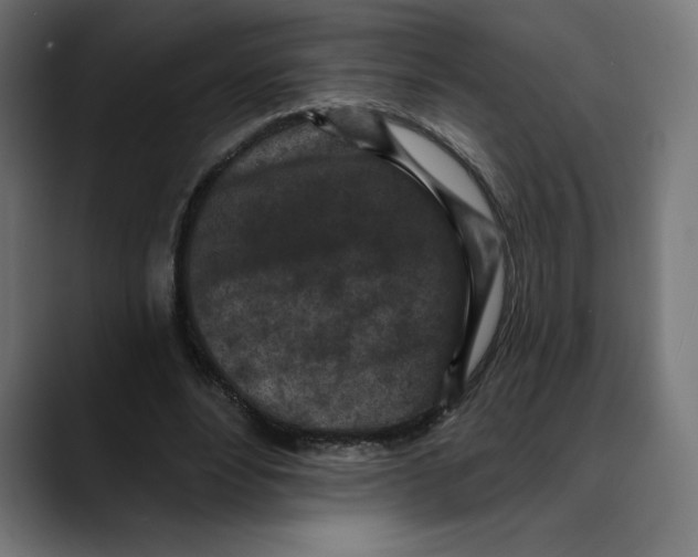 X0000088920488200707061406