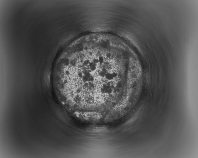 X0000088920491200707061406