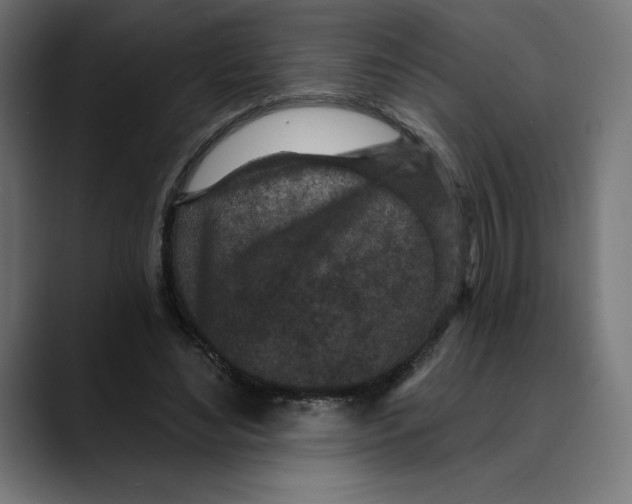 X0000088920492200707061406