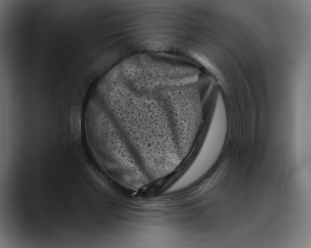 X0000088920493200707061406