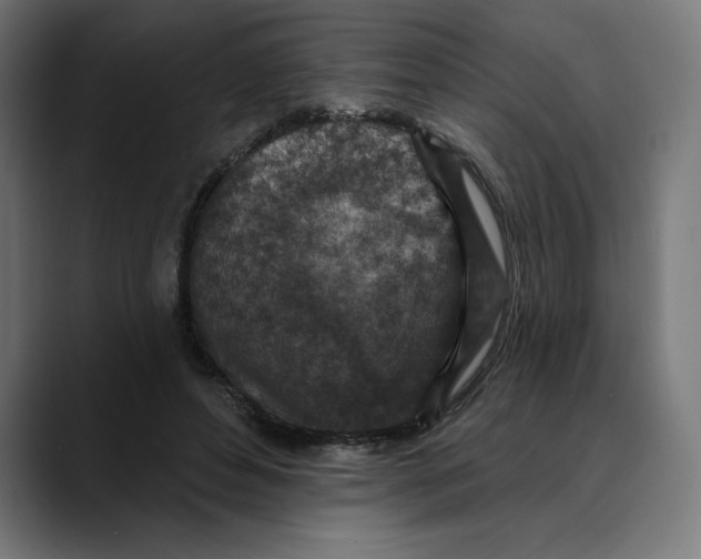 X0000088920496200707061406