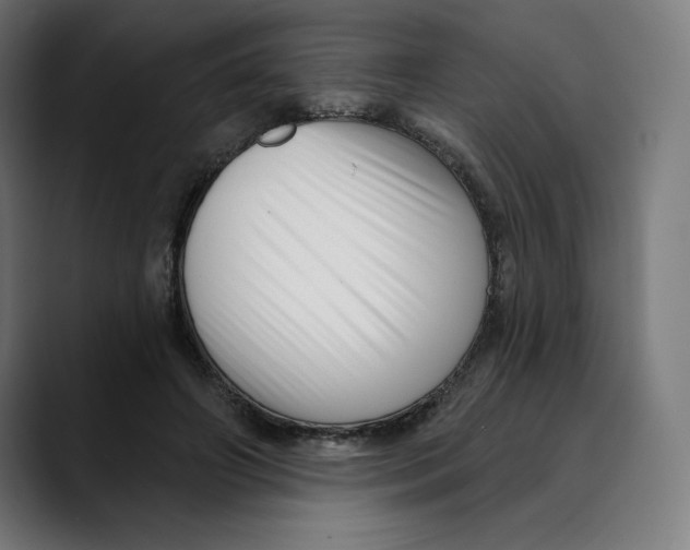 X0000088920498200707061406