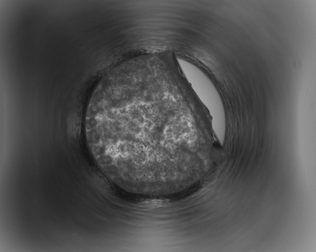 X0000088920499200707061406