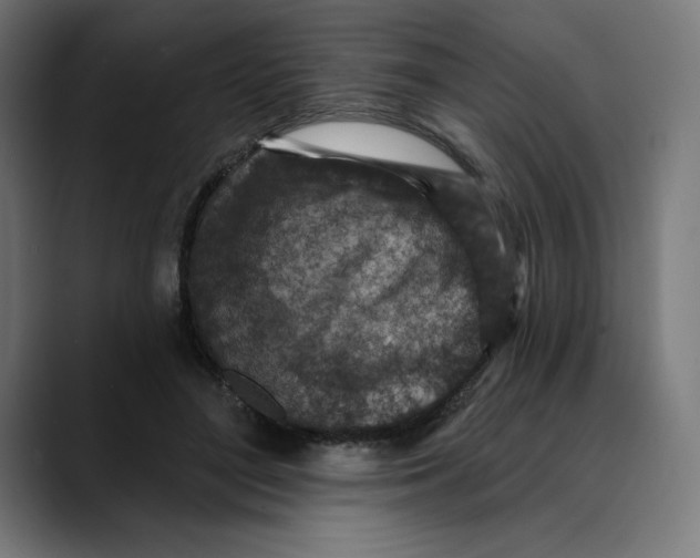 X0000088920500200707061406