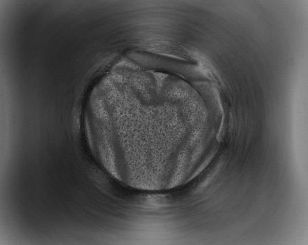 X0000088920501200707061406
