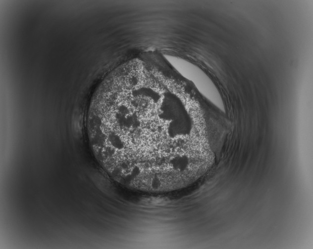 X0000088920503200707061406