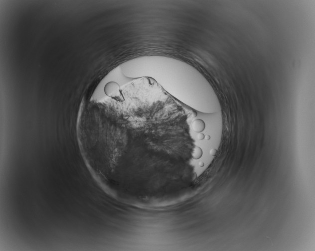 X0000088920507200707061406