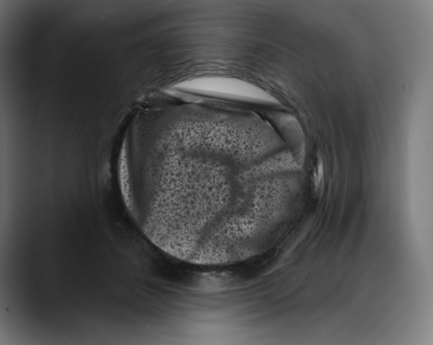 X0000088920508200707061406
