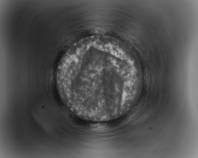 X0000088920511200707061406