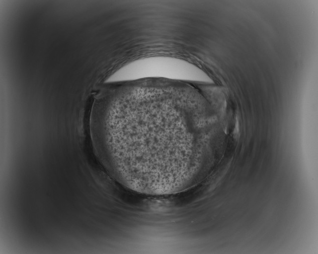 X0000088920512200707061406