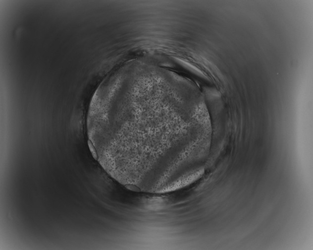X0000088920513200707061406