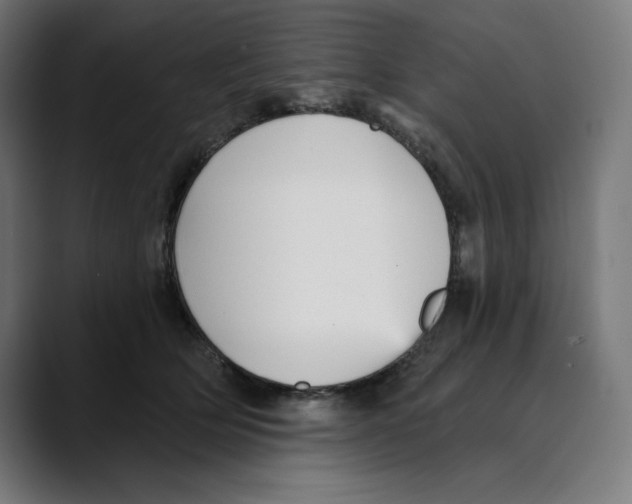 X0000088920514200707061406