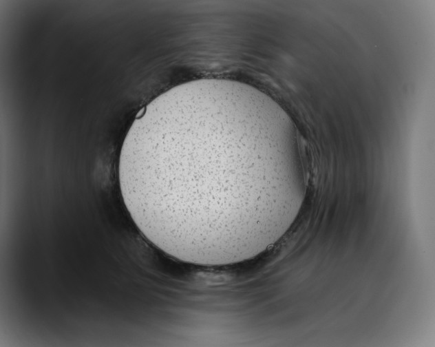 X0000088920515200707061405