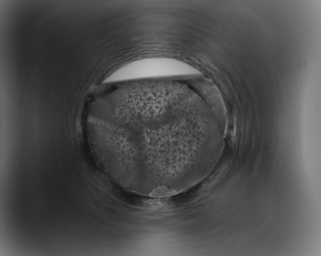 X0000088920516200707061405